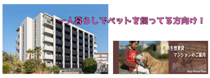 ルミナスアルファシオ メイン画像